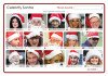 Celebrity Santas