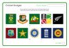 Cricket Badges