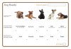 Dog Breeds 3