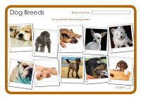 Dog Breeds 2