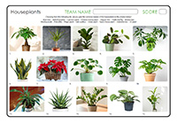 Houseplants Houseplants