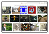 Picture Puzzles - London Underground Stations